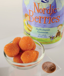 Nordic Berries Image